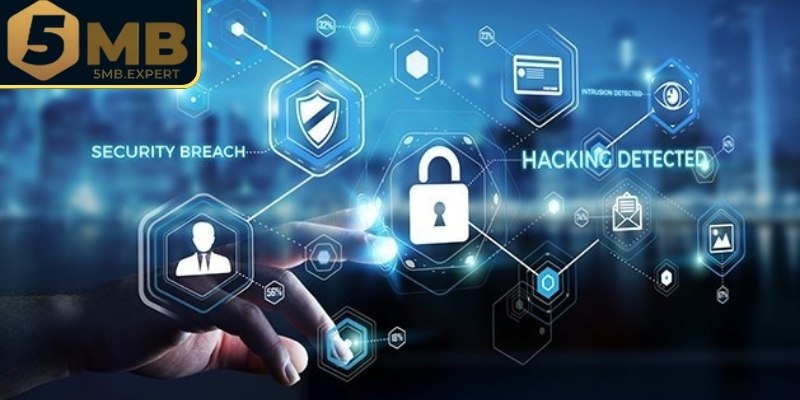 Vai trò quan trọng của chính sách mật thiết 