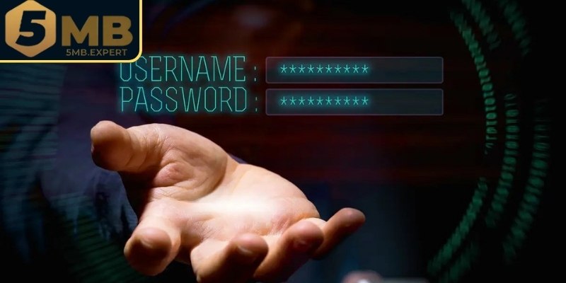 Lưu ý dành cho hội viên khi tạo tài khoản