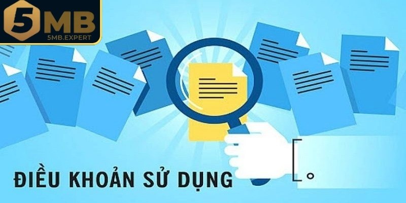 Đôi nét về điều khoản sử dụng 5MB
