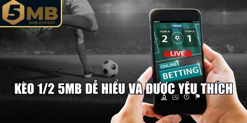 Kèo 1/2 5MB - So Sánh Và Nhận Biết Tỷ Lệ Cược Chấp Nửa Trái 1 Giải thích chi tiết về kèo 1/2 5MB