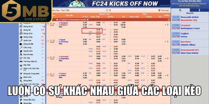 Kèo 1/2 5MB - So Sánh Và Nhận Biết Tỷ Lệ Cược Chấp Nửa Trái 2 Phân tích điểm khác nhau giữa kèo 1/2 và 1/4