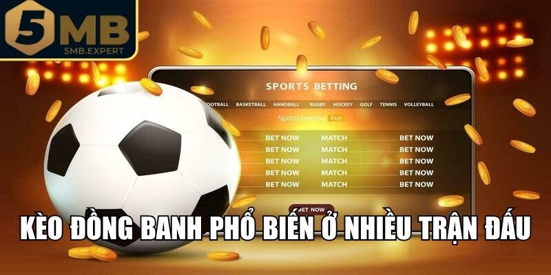 Kèo Handicap 5MB - Giải Thích Cách Đọc Cùng Kinh Nghiệm 2 Cách hiểu đúng luật chơi của kèo đồng banh