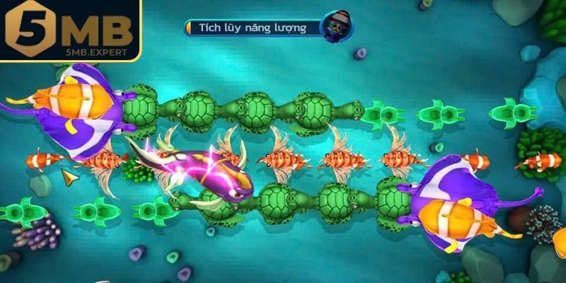 Vương Gia Đánh Cá 5MB – Trải Nghiệm Thượng Lưu Cùng 888 Phần Quà 3 Kinh nghiệm chơi Vương Gia Săn Thưởng nâng cao tỷ lệ thắng